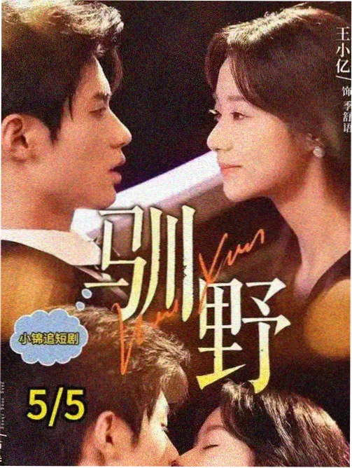 想见你 台湾剧集在线观看